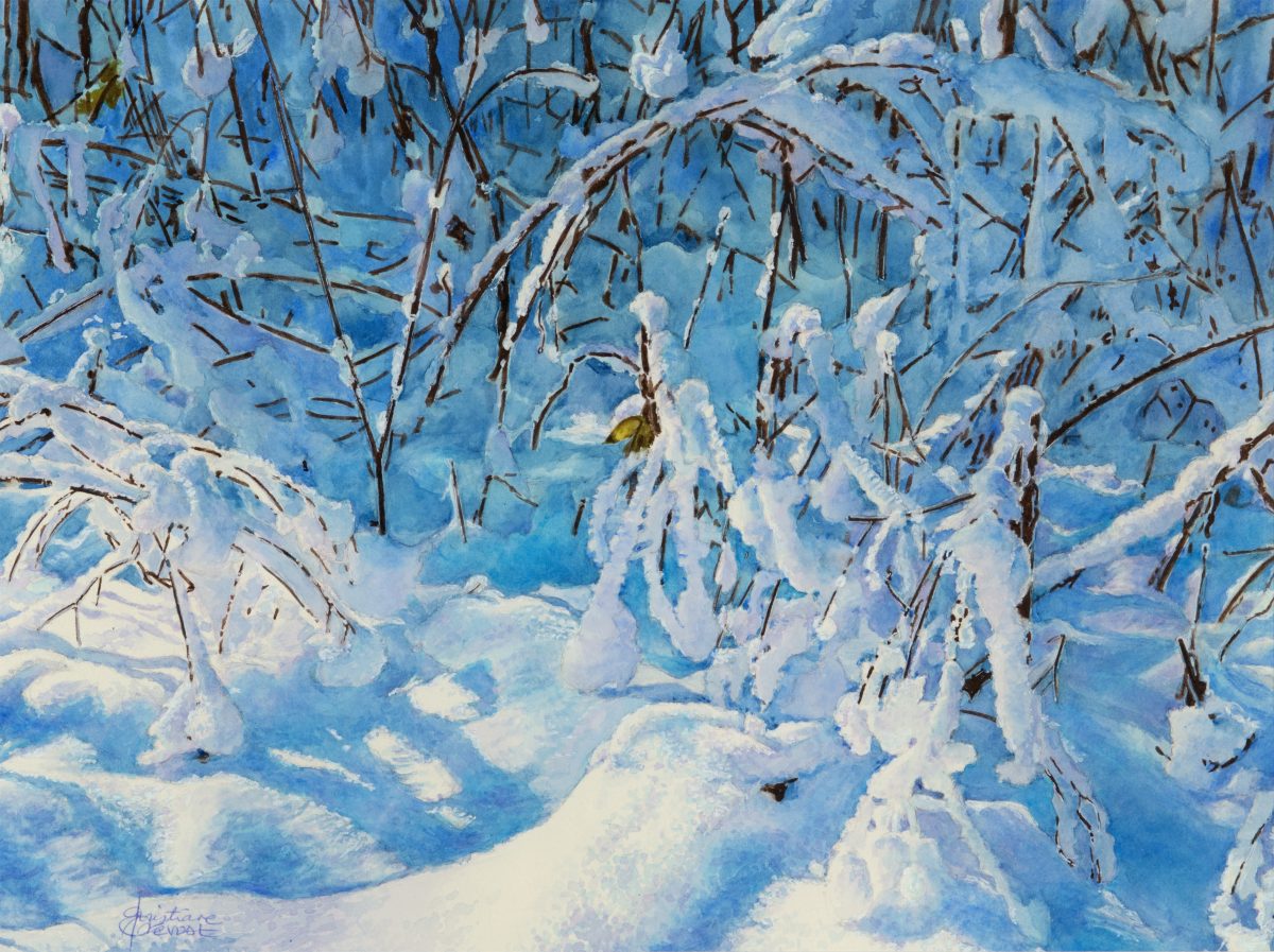 Aquarelle : _DSC5115_jpg